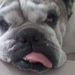 Profile Picture of Kathy Barrett (@kborange) on Pinterest