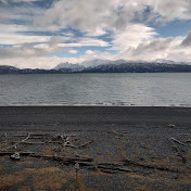 Profile Picture of Andrew Caliendo (@andrewcaliendo7005) on Youtube