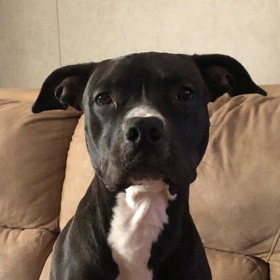 Profile Picture of Jerry Lyles (@JerryLyles8) on Twitter