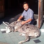 Profile Picture of Joseph Chung (@joechuuung) on Instagram