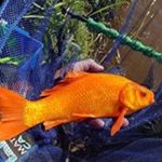 Profile Picture of Darren Hickman (@darren_hickman) on Instagram