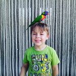 Tyler Brantley - Instagram Profile Picture of Tyler Brantley (@tbrantley87) on Instagram