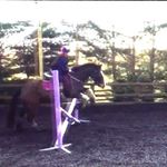 Profile Picture of Carys Gibson (@carys_gibsonxoxo) on Instagram