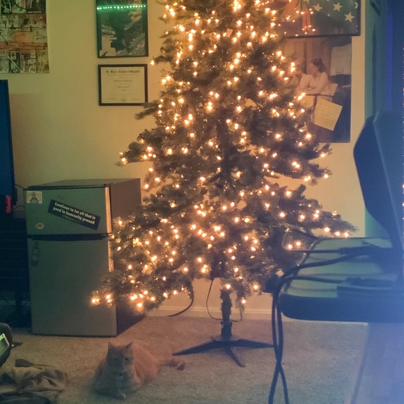 Profile Picture of Bradley Allen (@bradleyallen511) on Poshmark