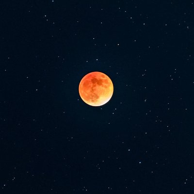 Profile Picture of Tian Xia (@tianxia80240914) on Twitter