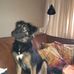 Profile Picture of John Ringelberg (@john.ringelberg) on Facebook