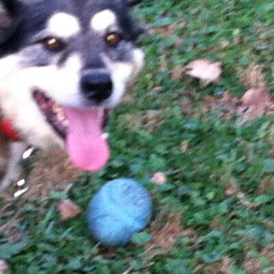 Profile Picture of Donnaduncanlay (@DonnaDuncanLay) on Twitter