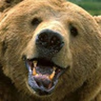 Profile Picture of Michael Matar (@michael-matar-5) on Quora