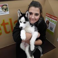 Profile Picture of Vickie Prushing-bartelt (@vickie-prushing-bartelt) on Quora