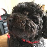 Profile Picture of betsy (@betsy_rose_oates) on Instagram