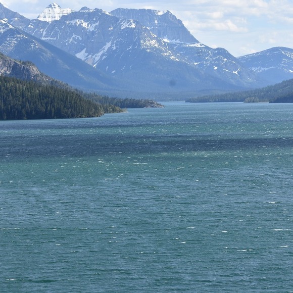 Profile Picture of Tammy Mulcahy (@bristolbrat14) on Poshmark