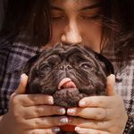 Profile Picture of МОПС РИЧАРД | Ростов-на-Дону (@pug_richard_) on Instagram