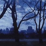 Profile Picture of Elham Akhavan (@cinema.nahid) on Instagram