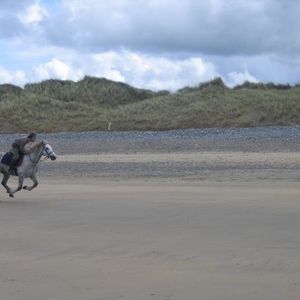 Profile Picture of Jay Treloar (@piesaredelicious) on Myspace