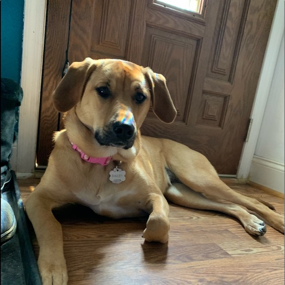 Profile Picture of Steve Hildebrandt (@stevehilde) on Poshmark