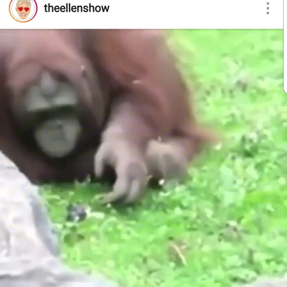 Profile Picture of Candious Malone (@cmalone78) on Poshmark