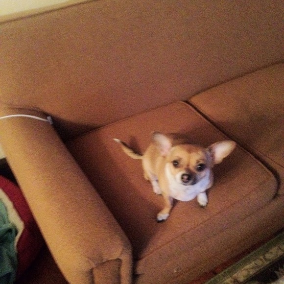 Profile Picture of Amia Madole (@an0806) on Poshmark