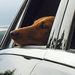 Profile Picture of Peter Horton (@horton4818) on Pinterest