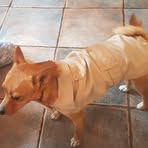 Profile Picture of Kerrie Best (@Kerrie-Best) on Facebook