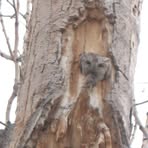 Profile Picture of Marion Grams (@marion.grams.3) on Facebook