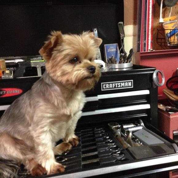 Profile Picture of John Bowen (@bowen0872) on Poshmark