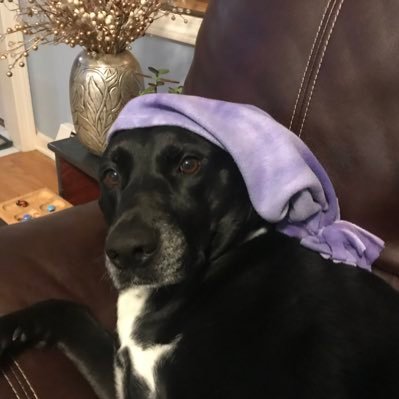 Profile Picture of Jon Wink (@JonWink3) on Twitter