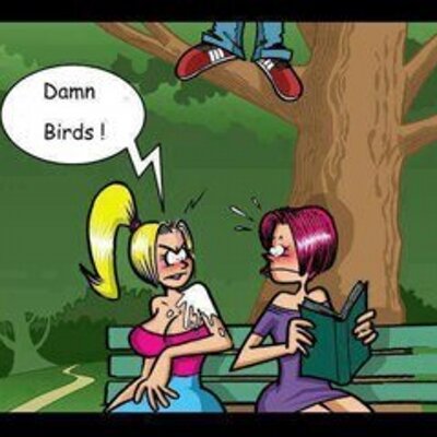 Profile Picture of Hansel Thomas (@ThomasHansel24) on Twitter