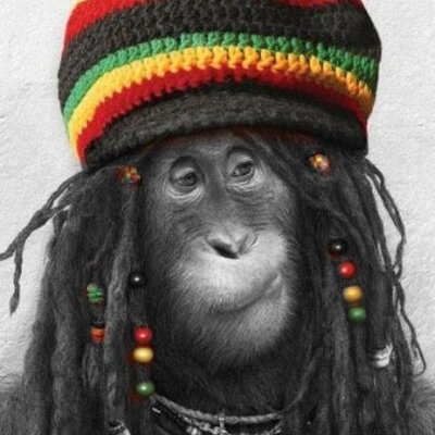 Warren McHugh - Twitter Profile Picture of Warren McHugh (@WazzaMcHugh) on Twitter