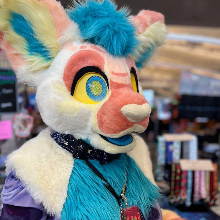 Profile Picture of Vega (@vegacattt) on Tiktok