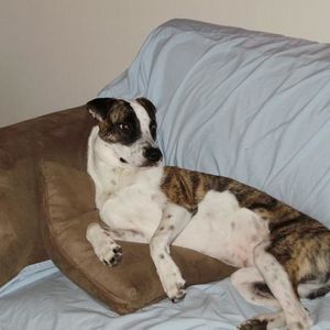 Profile Picture of Ingrid Scholz (@222660768) on Myspace