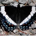 Kim Jantz - Facebook Profile Picture of Kim Jantz (@kim.jantz.90) on Facebook