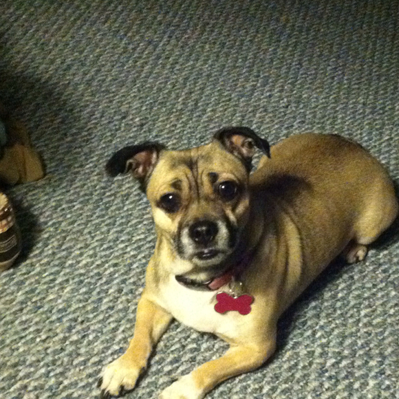 Profile Picture of Robin Blackwell (@robinb123) on Poshmark