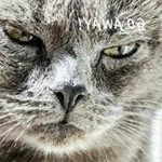 Profile Picture of 1 follower (@ilove_jesus5) on Instagram