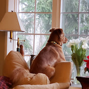 Profile Picture of Scott Woerner (@scottwoerner5057) on Youtube