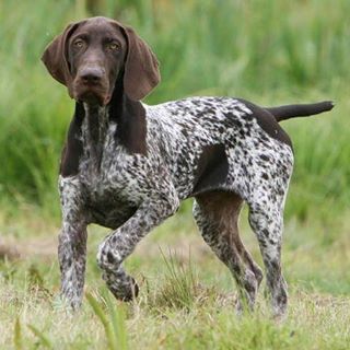 Profile Picture of Michel Adnet (@Michel-Adnet) on Facebook