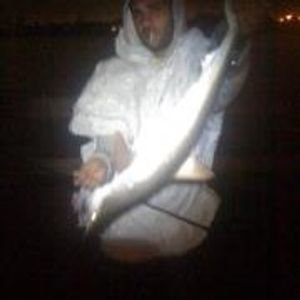 Profile Picture of Ayman Saad (@ayman.saleeb) on Myspace