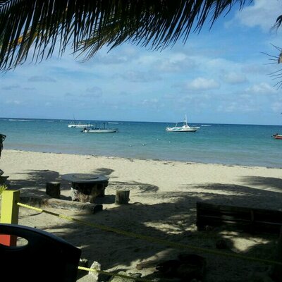 Profile Picture of Roan Bennett (@noconTESS) on Twitter