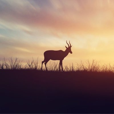 Profile Picture of Frank Woo (@FrankWoo12) on Twitter