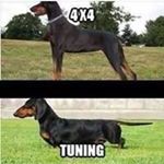 Profile Picture of Wolfgang Popp (@wolfgang_popp) on Instagram