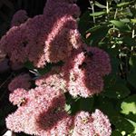 Profile Picture of Randy Albertson (@randy.albertson.1238) on Instagram