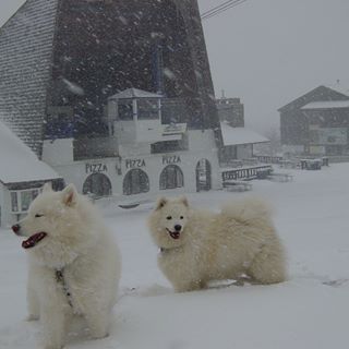 Profile Picture of Fred Felt (@fred.felt) on Facebook