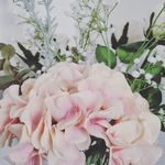 Profile Picture of Erica Alenius (@aleniushome) on Instagram