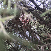 Profile Picture of Ivan Trejo (@4lg0lD3m0n) on Youtube