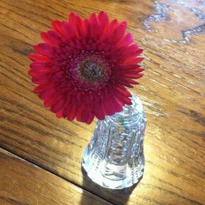 Profile Picture of Steve Hageman (@hagemansj) on Twitter