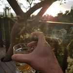 Profile Picture of David Kelbert (@swivelwidget) on Instagram