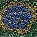 Profile Picture of Ambrósio Silva (@ambrsiosilva) on Pinterest