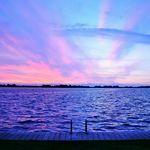 Profile Picture of peer Tamer (@peertamer) on Instagram