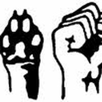 Profile Picture of Randy Bosley (@randy-bosley-1) on Quora