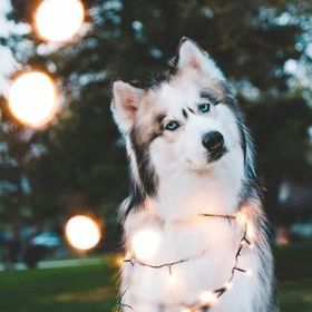 Profile Picture of Cecilia Manzanares (@ceciliavalero) on Pinterest