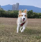 Profile Picture of Lin ShangWen (@shangwen831) on Facebook